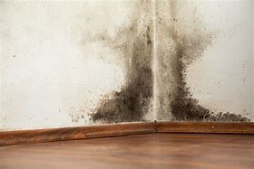 Mold growth on a white interior wall at a corner, staining the paint with dark discoloration, below a wooden baseboard.