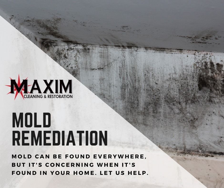 Ad for mold remediation services by Maxim. Moldy ceiling corner with text 