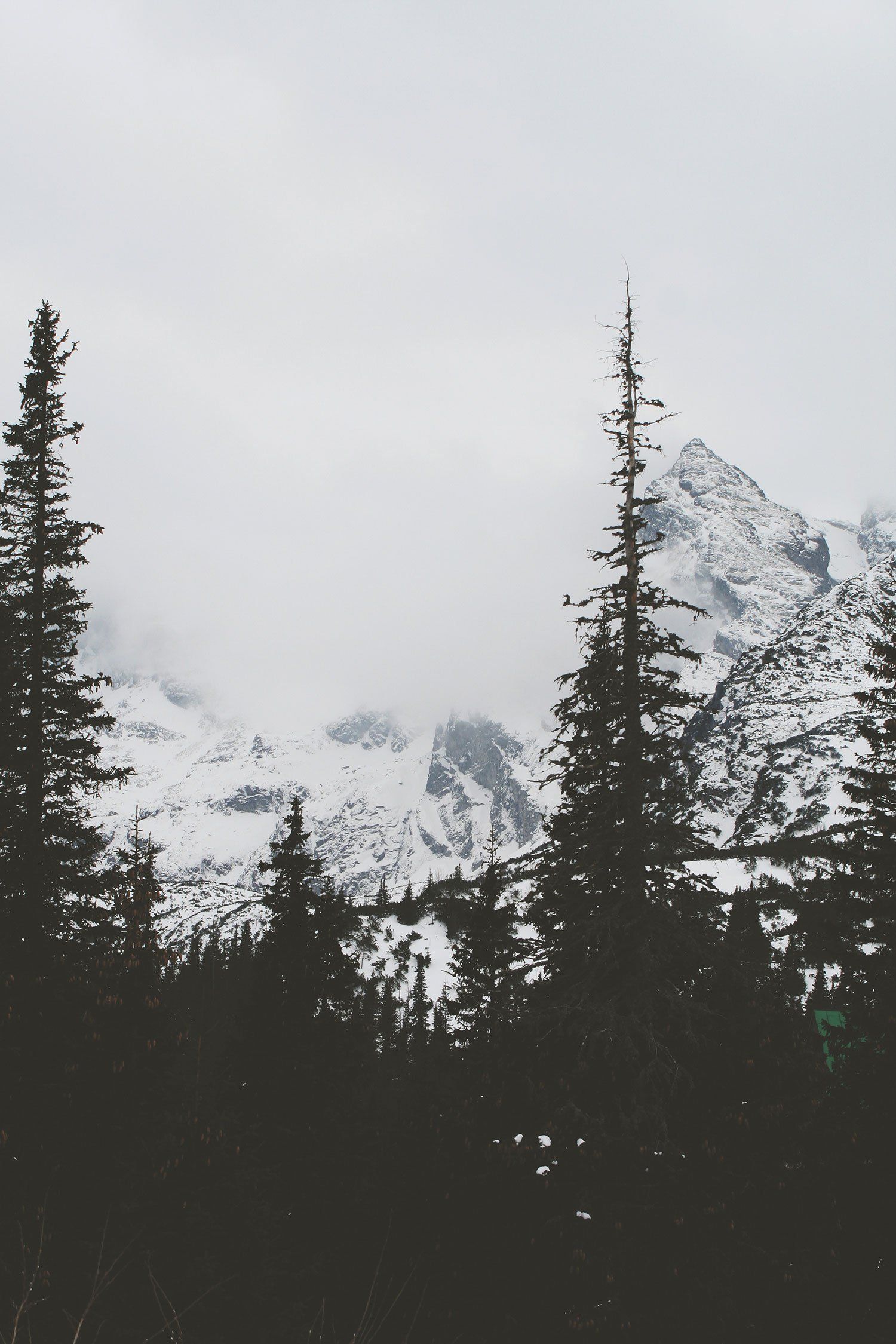 Snow-covered mountain peaks loom above dark evergreens, under a cloudy, overcast sky.