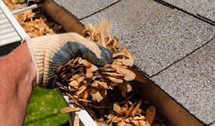 Gutter Cleaning