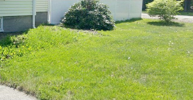 Trimming | Feeding Hills, MA | Grounds Keeper Landscaping | 413-789-9273