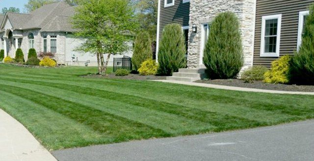 Hedge trimming | Feeding Hills, MA | Grounds Keeper Landscaping | 413-789-9273