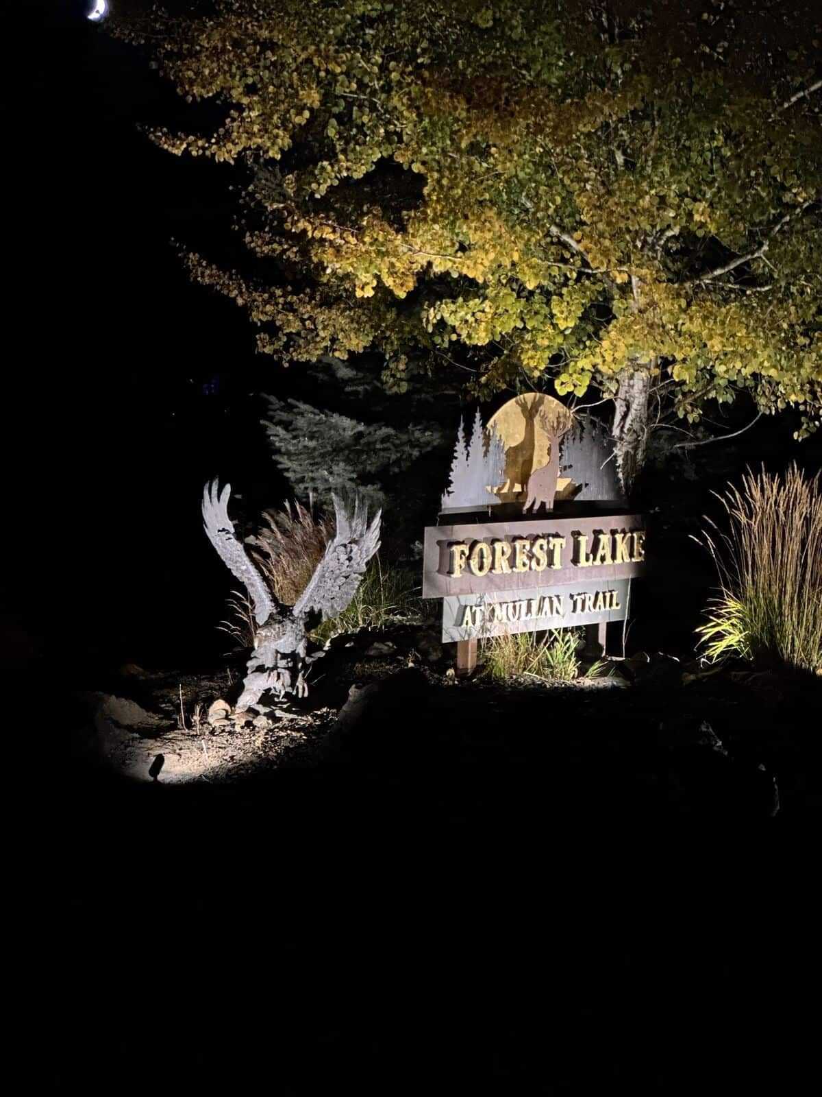 A forest lake sign is lit up at night with a statue of an eagle.