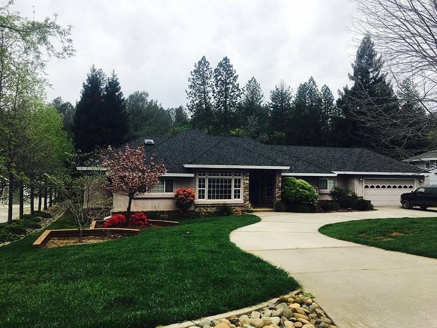 Residential shingles