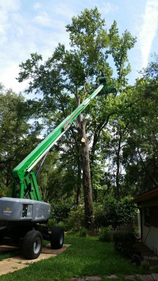 Johnson & Sons Tree Service, LLC | Tree Care Gainesville FL