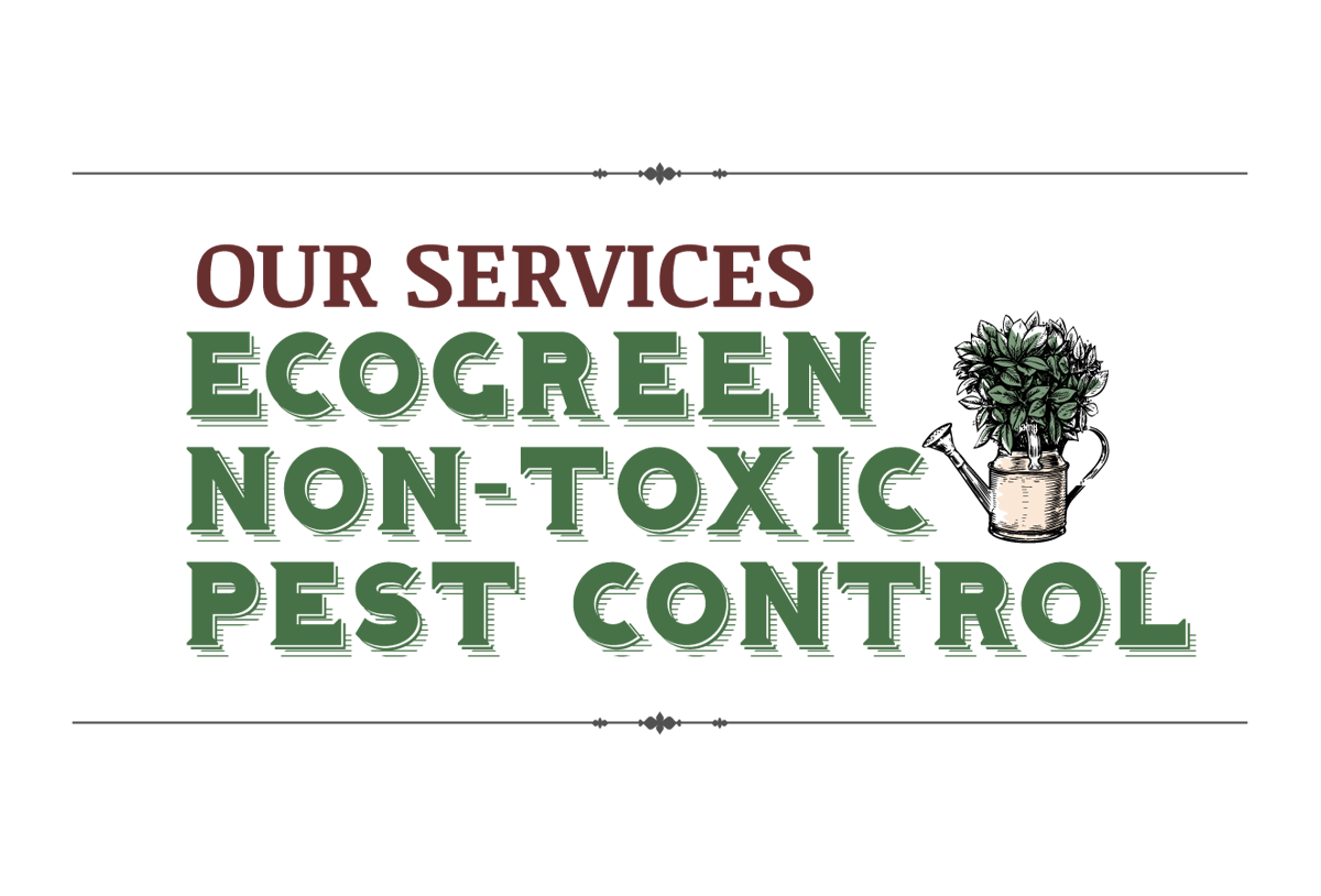 a logo for a company called ecogreen non-toxic pest control