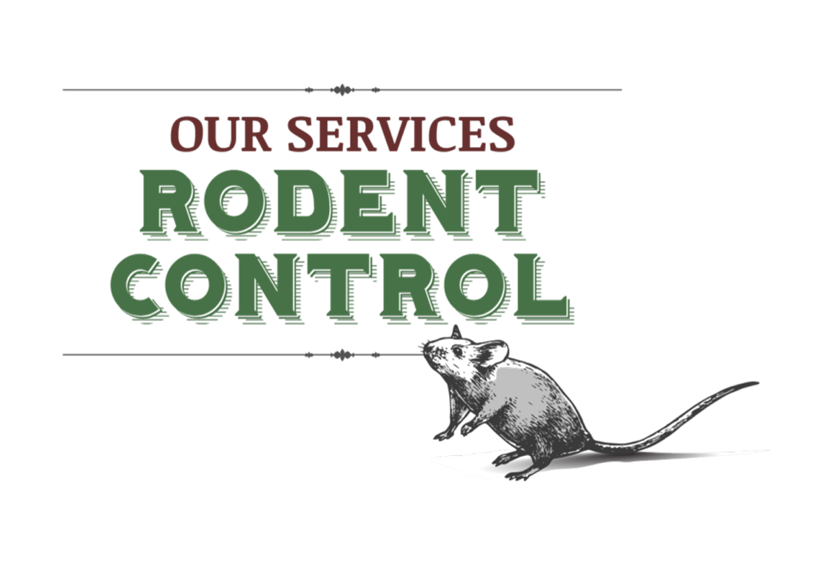 a logo for our services rodent control with a picture of a mouse