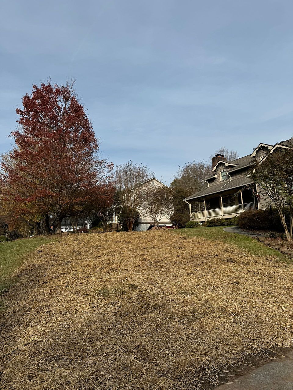 Without a tree in front of the house - after