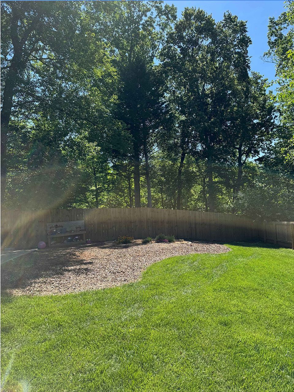 A lush green yard with trees and a fence on a sunny day - after image