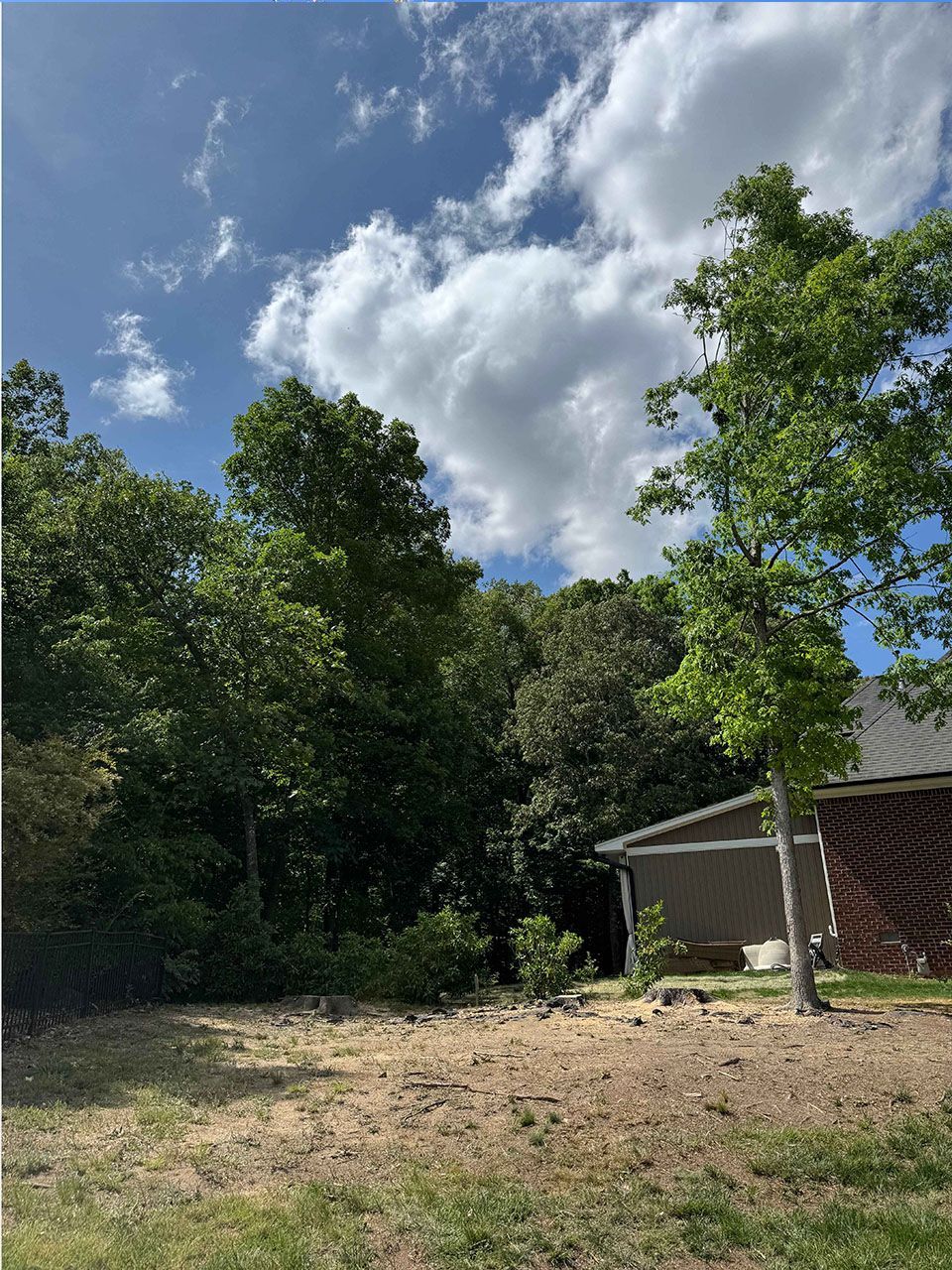 A row of trees in a yard with a house in the background - after image