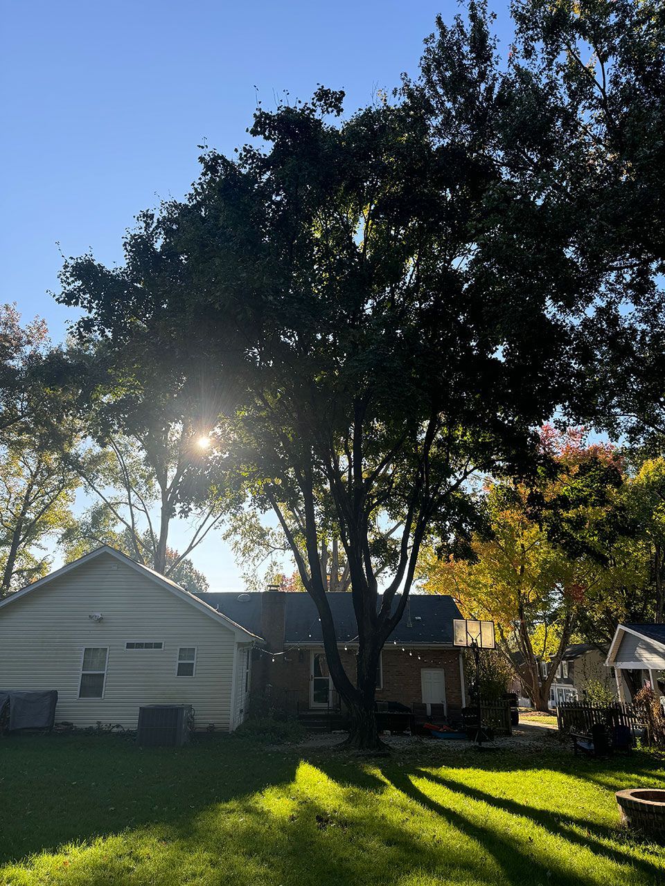 The sun is shining through the trees in front of a house - before