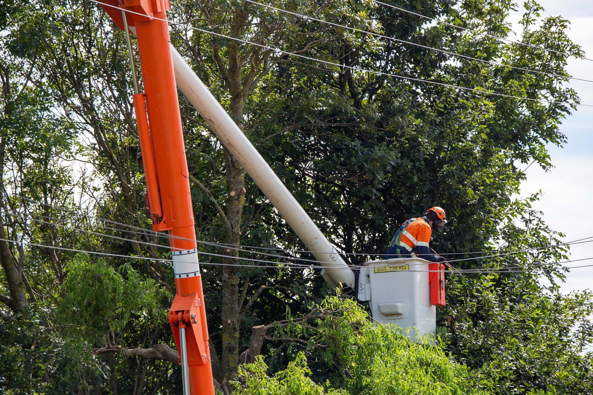 Utility worker in orange safety gear on a lift amid trees, working near power lines
