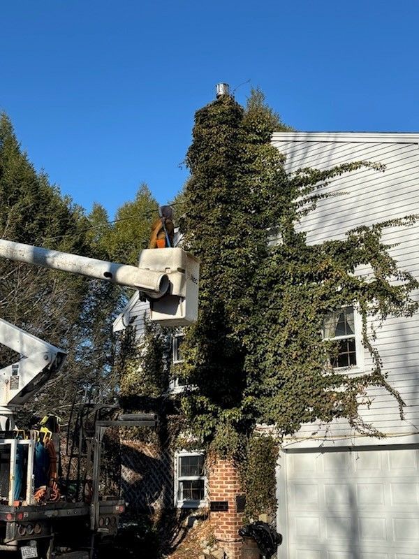 Worker in a bucket lift trimming ivy on a white house beside a brick chimney