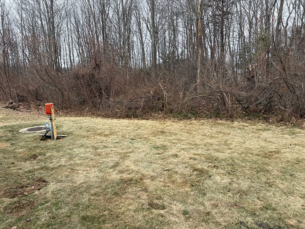 Grassy field with a small orange post near a line of leafless trees and brush