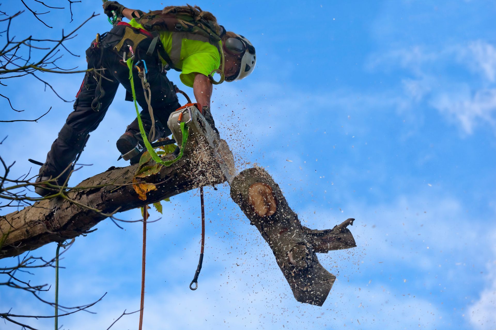 Tree worker in bright green gear sawing a branch high in a tree against a blue sky