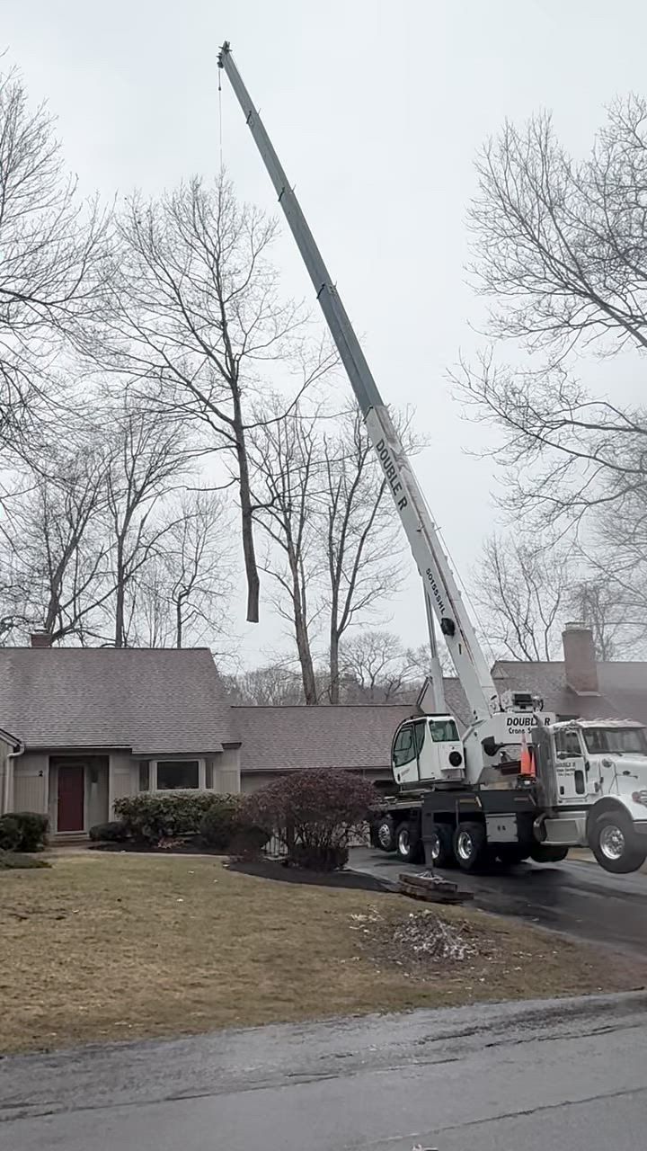 Crane lifting a long pole over a house in a wet suburban yard on a cloudy day