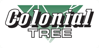 Colonial Tree - logo