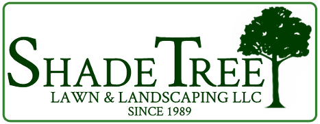 Shade-Tree-Logo-10-16-2014