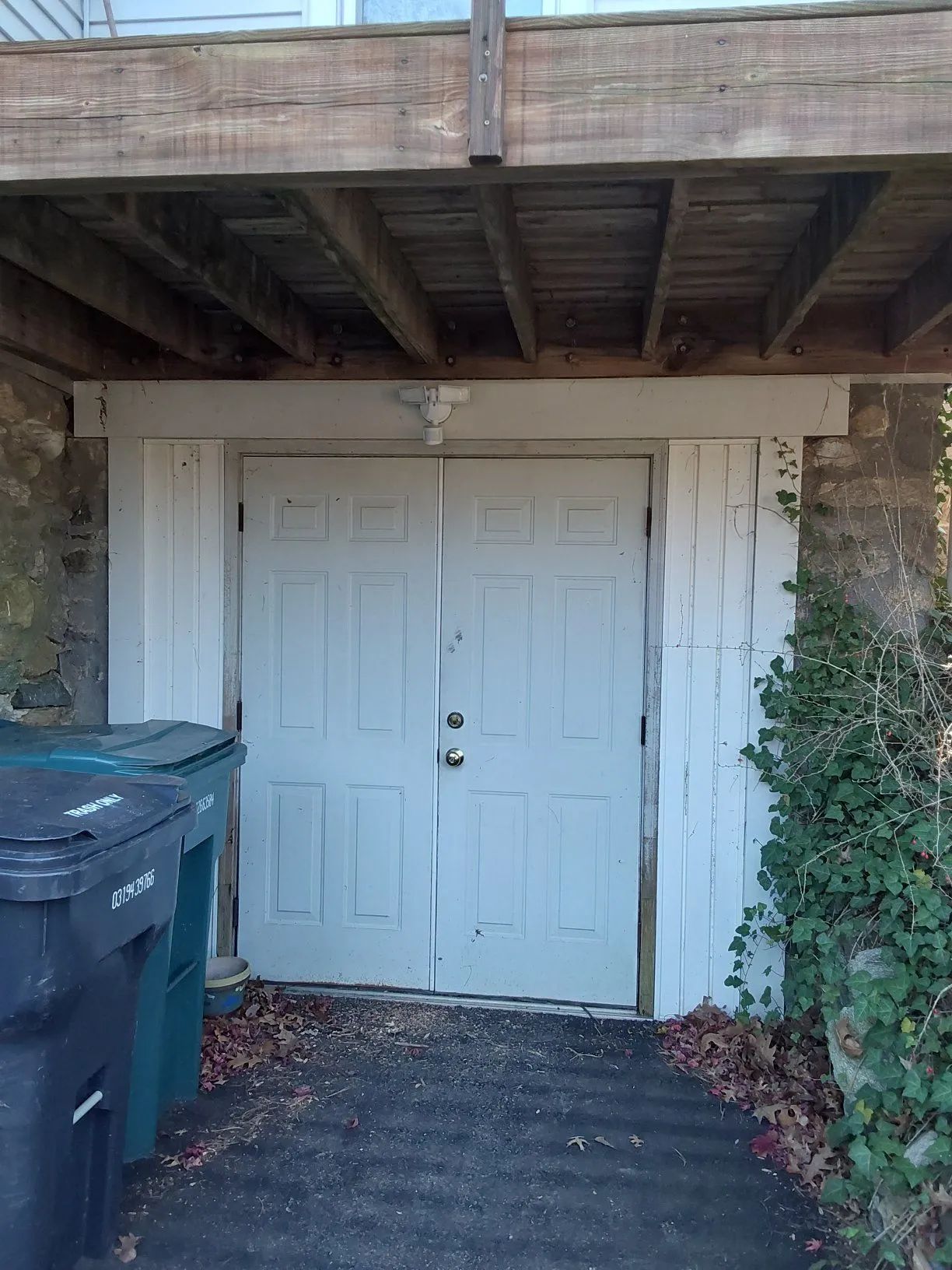 White double door under a wooden deck beside a trash bin and ivy-covered wall