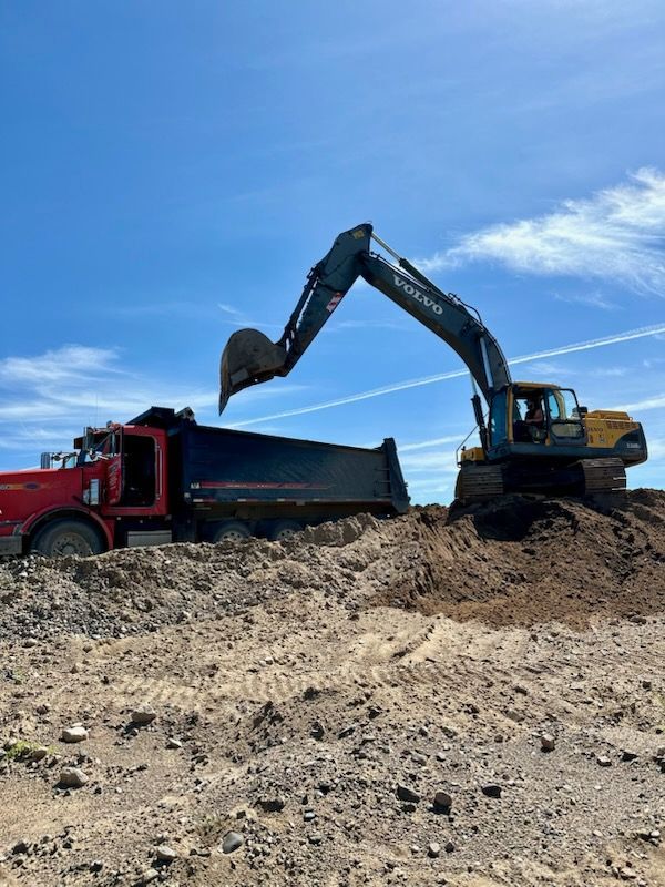 A large excavator is loading dirt into a dump truck.