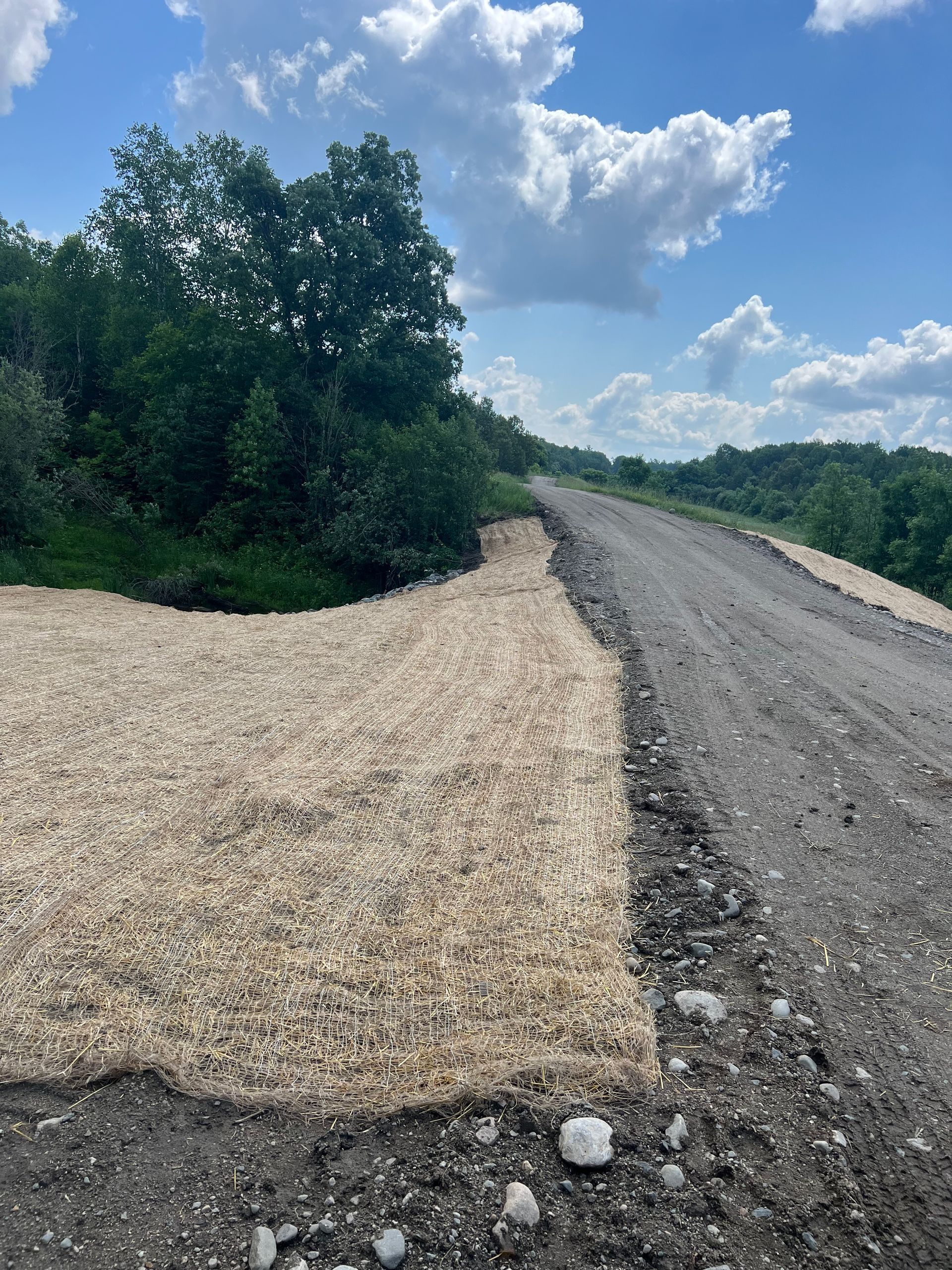 A dirt road with trees on the side of it