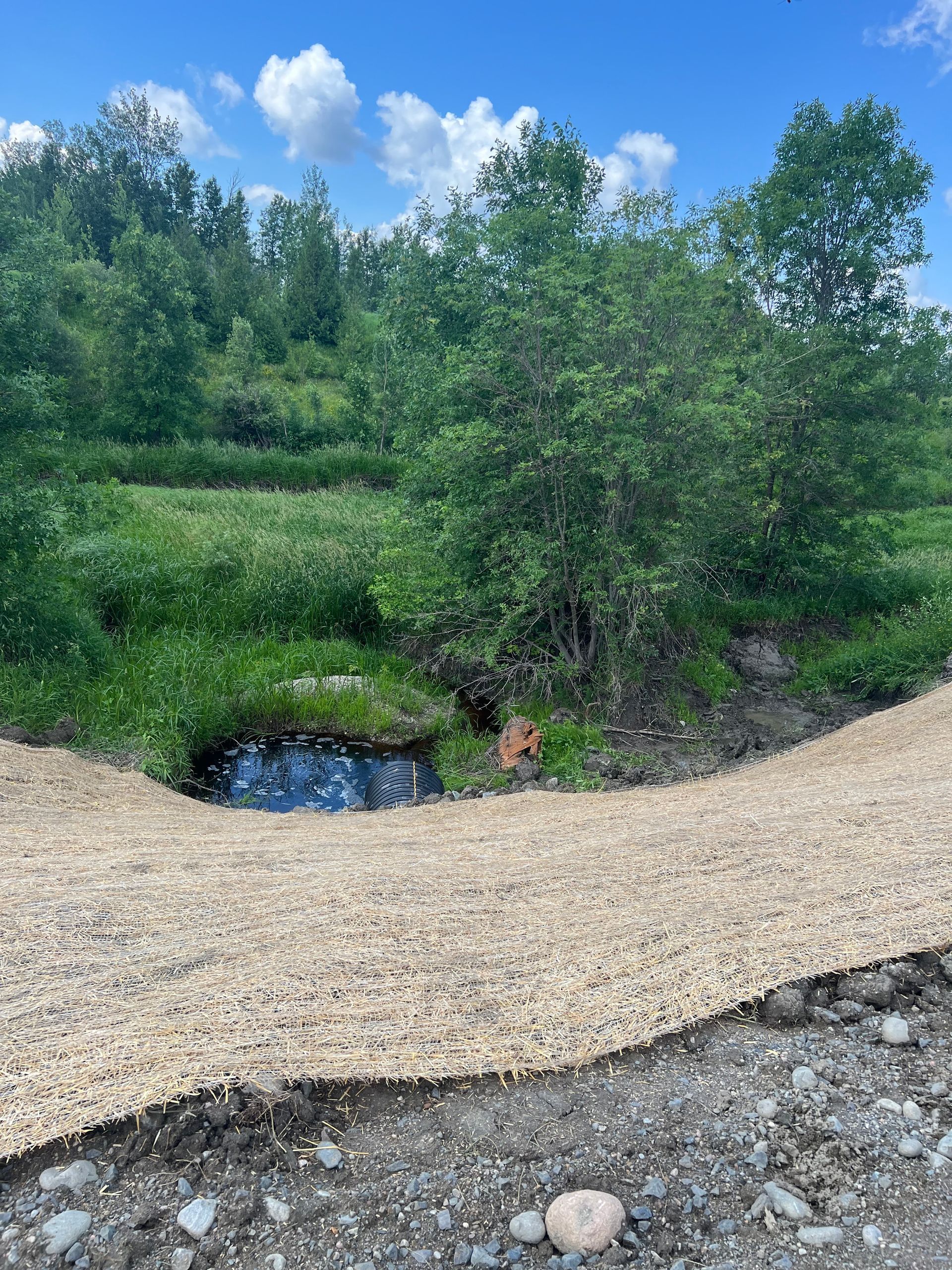 There is a small pond in the middle of a field surrounded by trees.