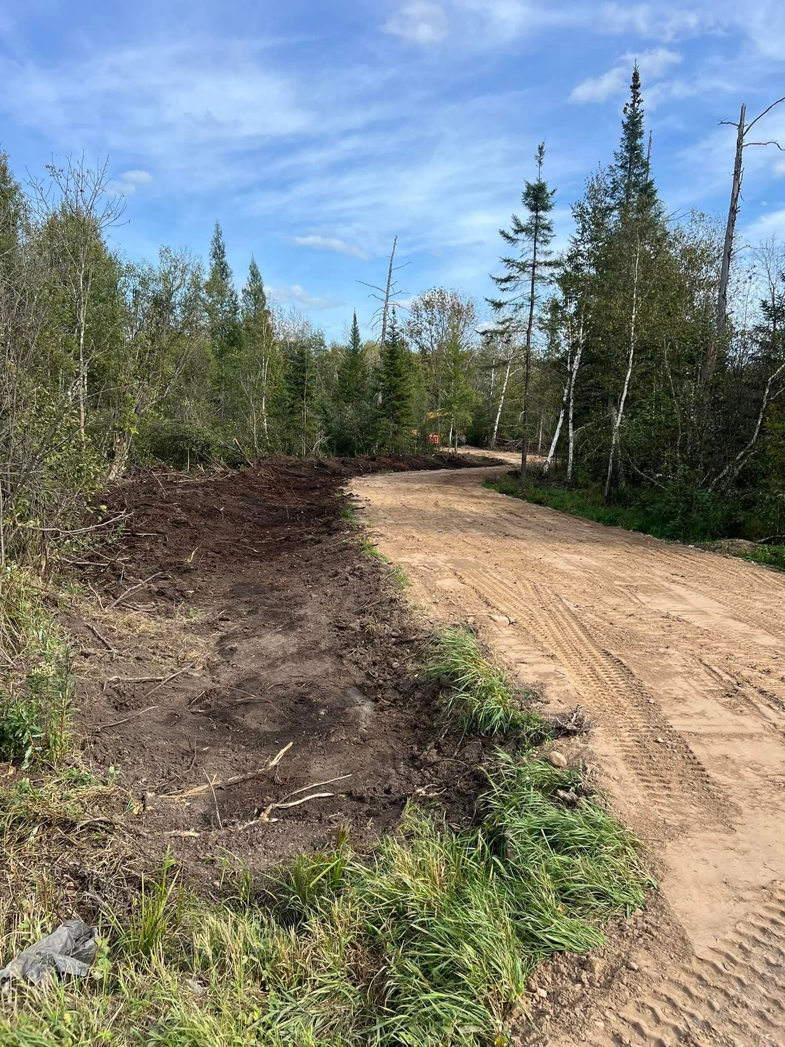 A dirt road going through a forest with trees on both sides.