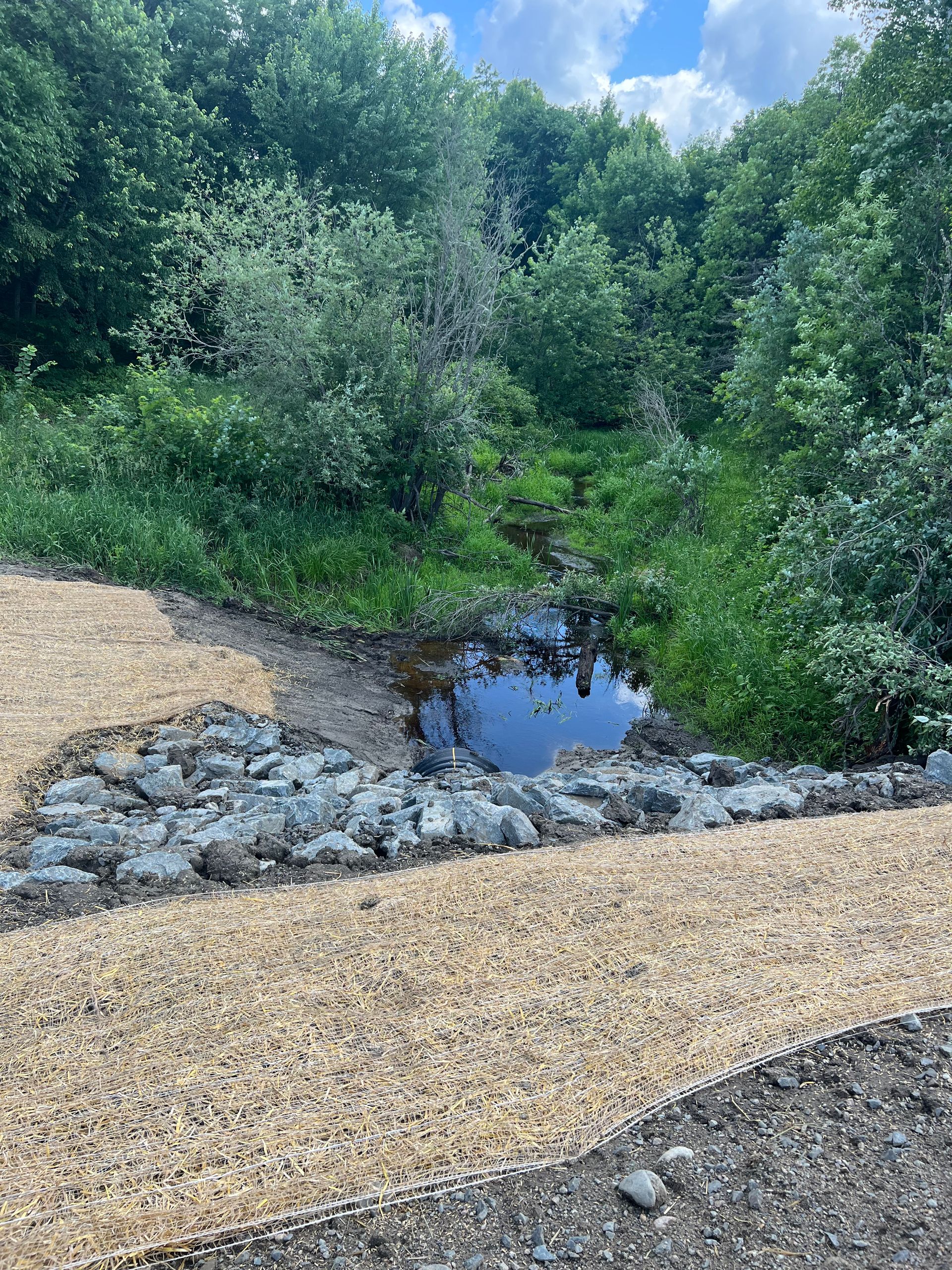There is a small pond in the middle of the woods.