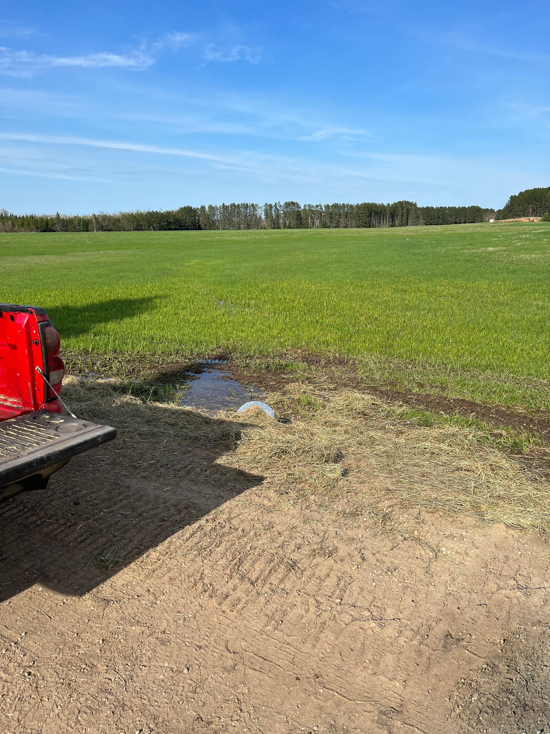 A red truck is parked in the middle of a grassy field.