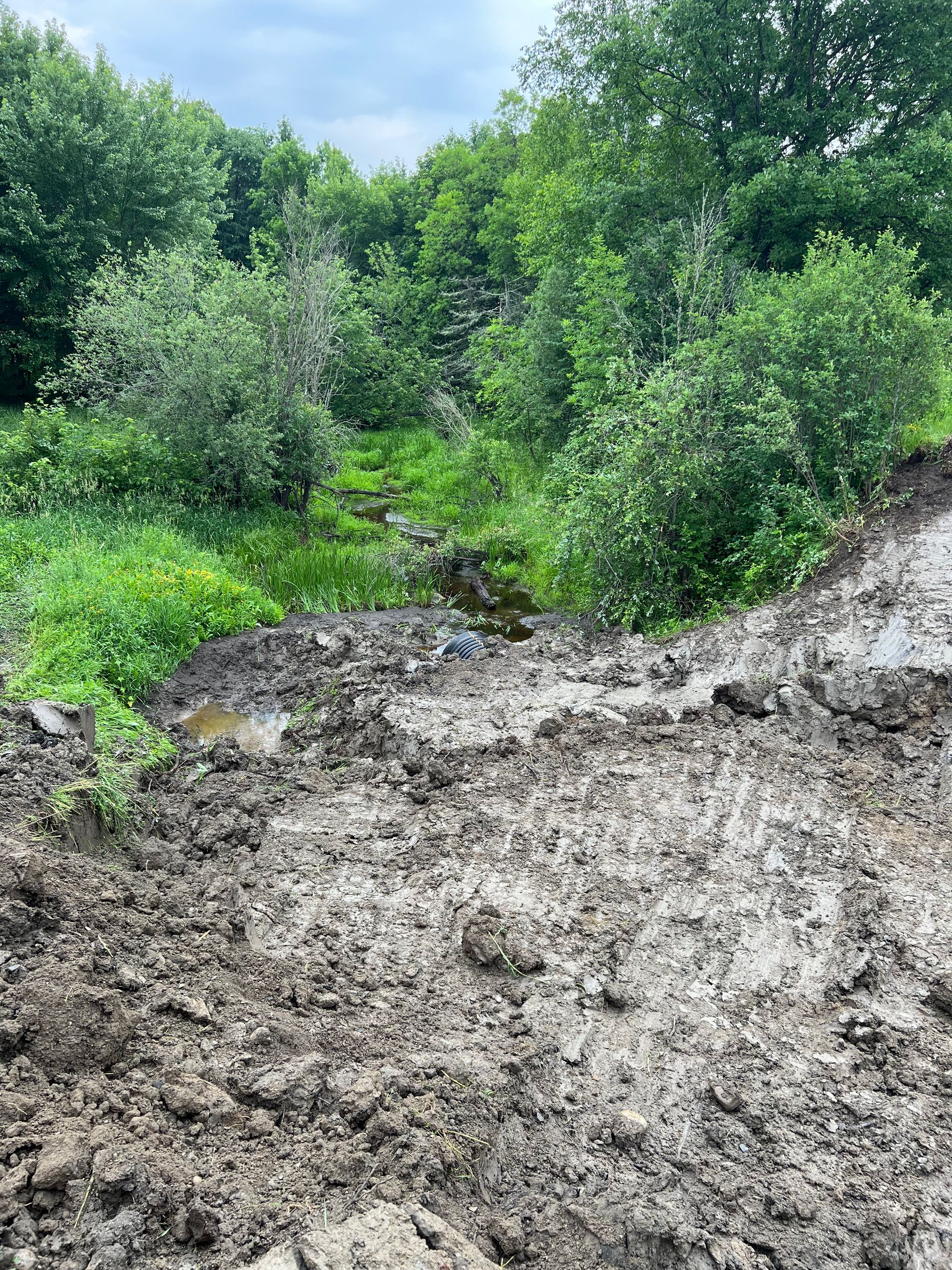 A large pile of dirt in the middle of a forest.