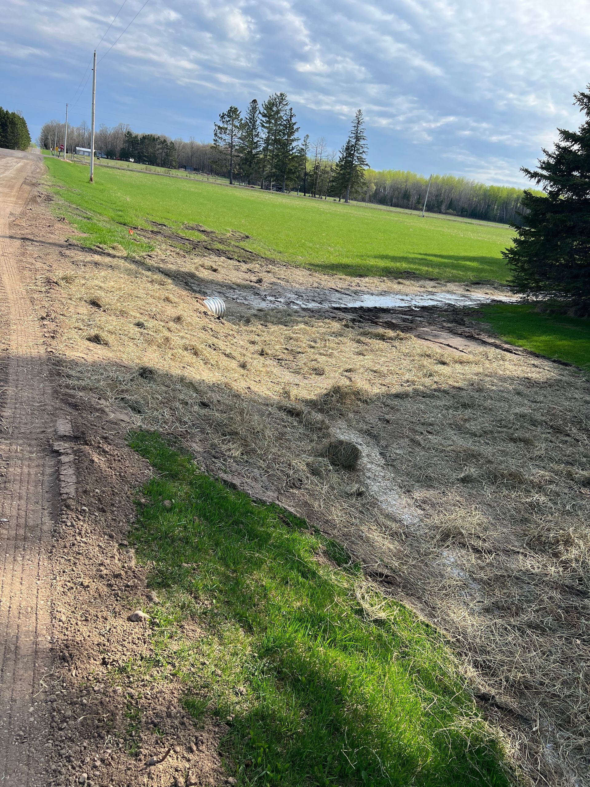 A dirt road going through a grassy field.