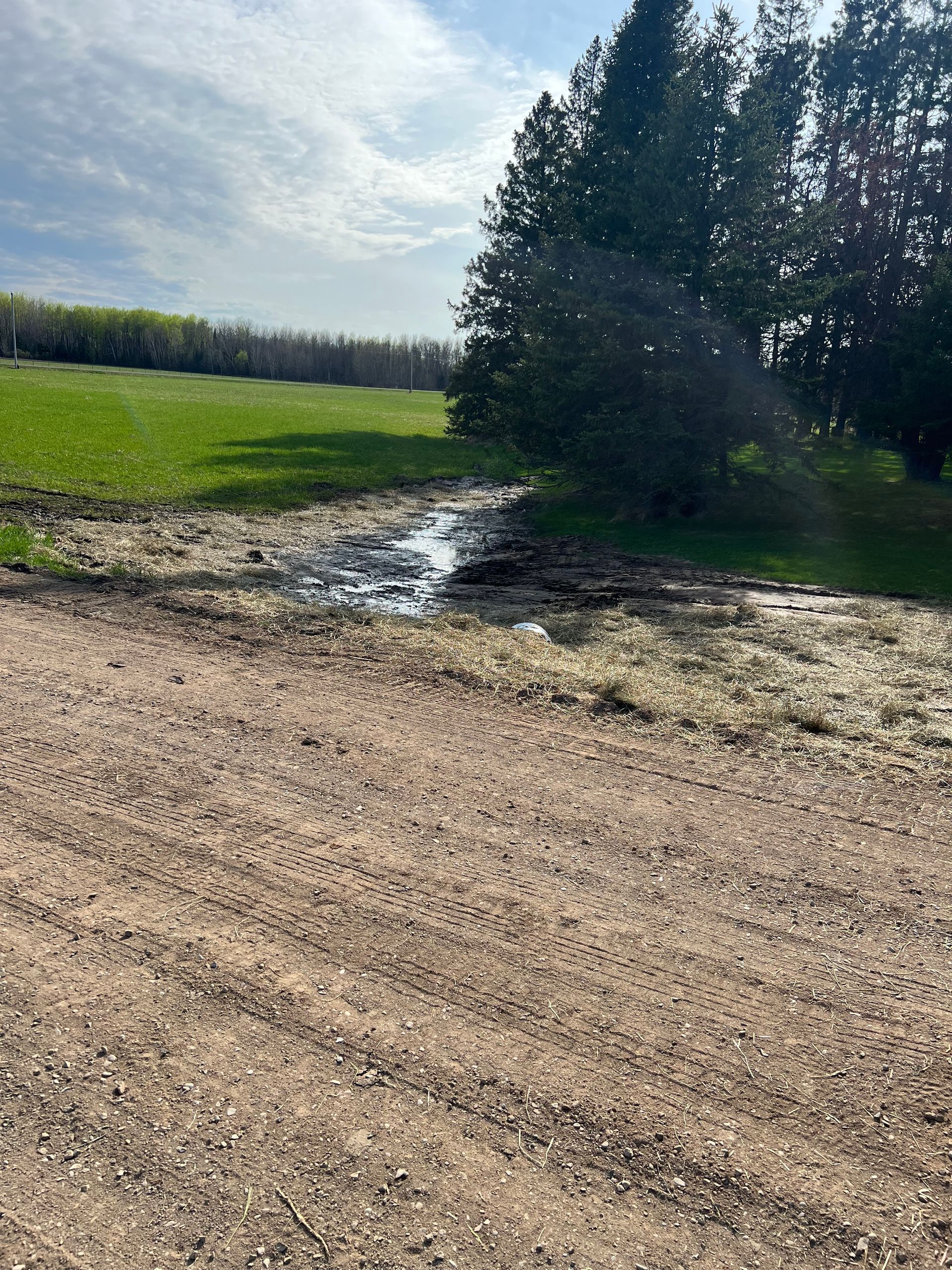 A dirt road leading to a green field with trees in the background.