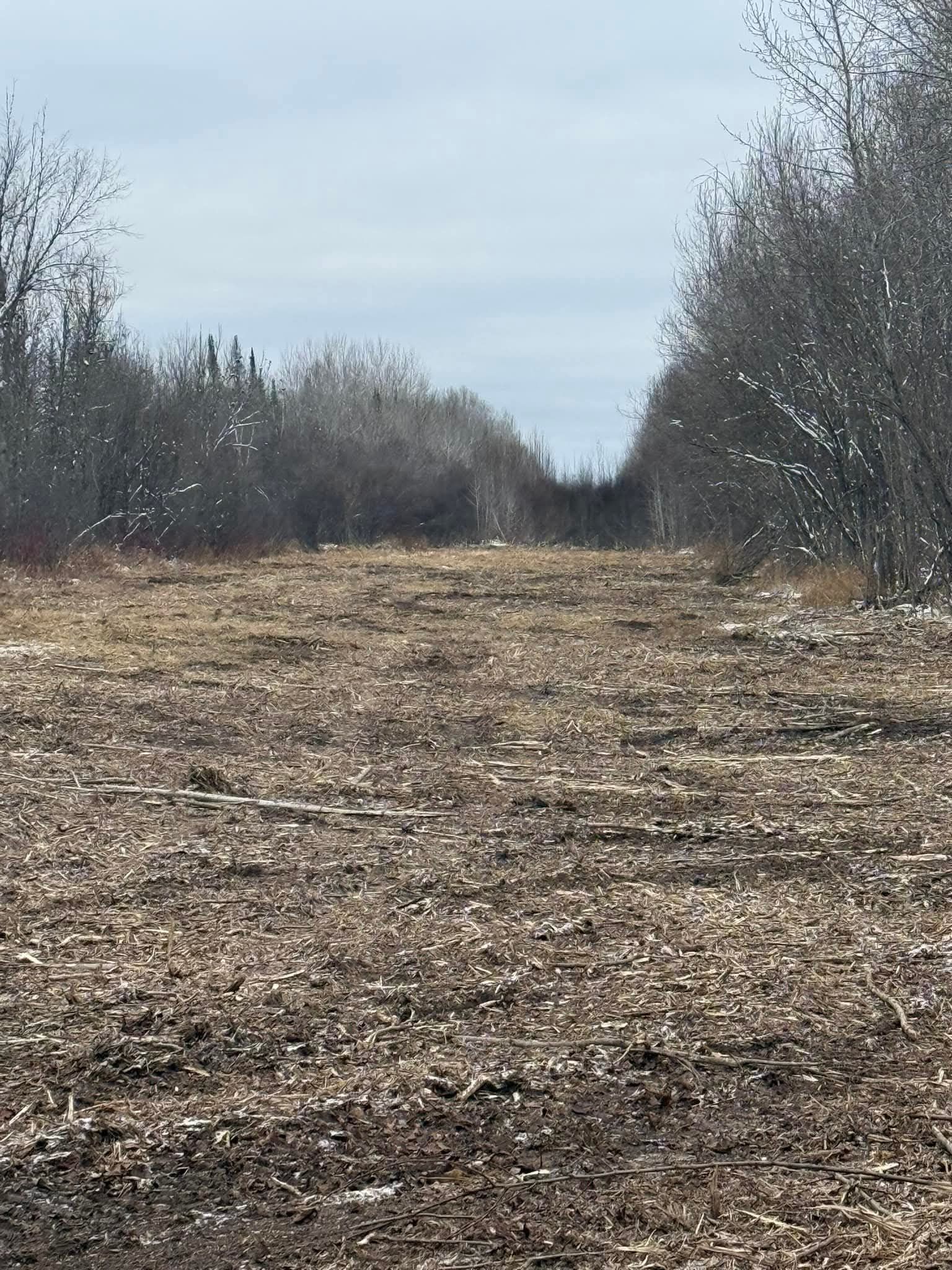 A dirt field with trees in the background on a cloudy day.