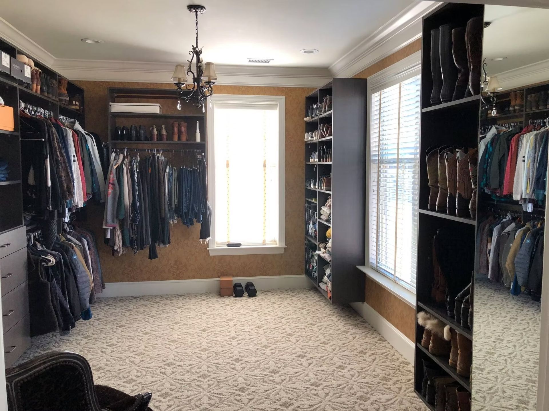 Walk-in closet with beige carpet, dark wood shelving, clothing racks, and a window.