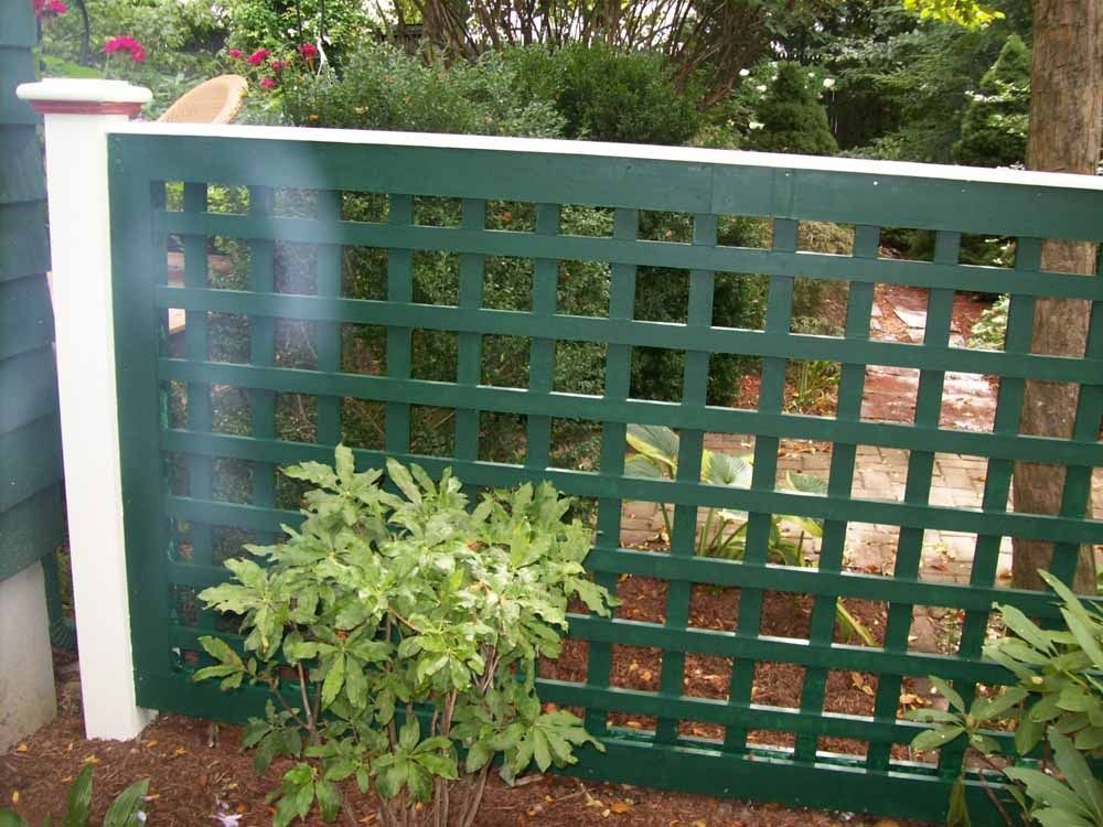 Green lattice garden fence with white posts and a small shrub in front