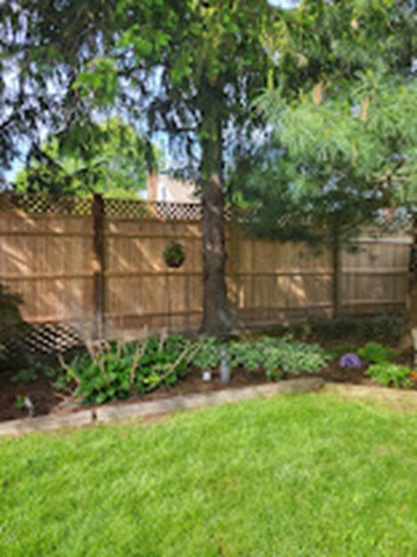 Backyard with green lawn, wooden fence, and leafy trees shading a flower bed.