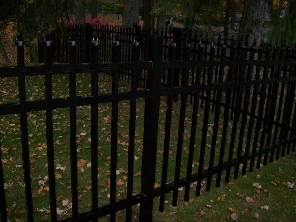 Black metal fence with pointed posts around a grassy yard with fallen leaves.