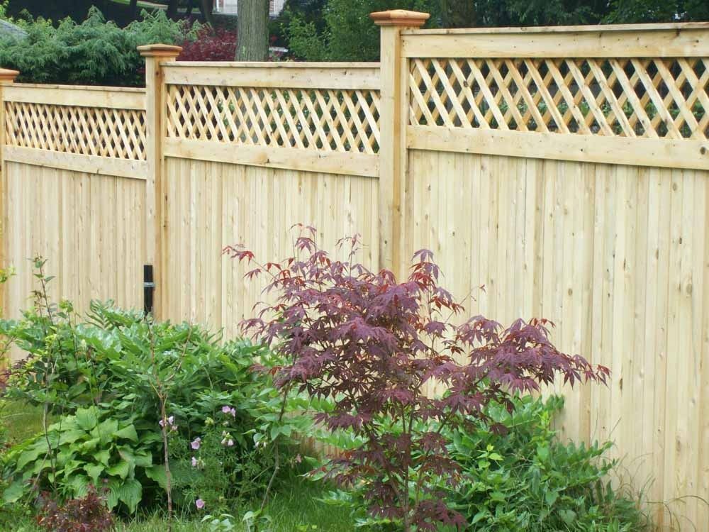 Wooden privacy fence with lattice top behind green shrubs and a purple-leafed bush