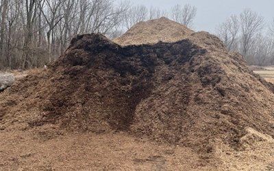 Learn More About Mulch Mulch