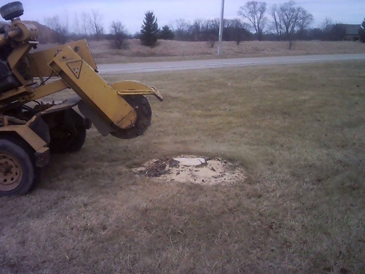 Stump removal