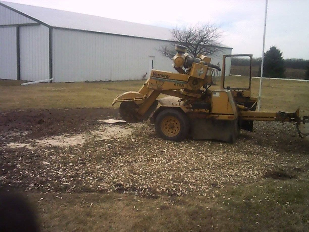 Stump grinding