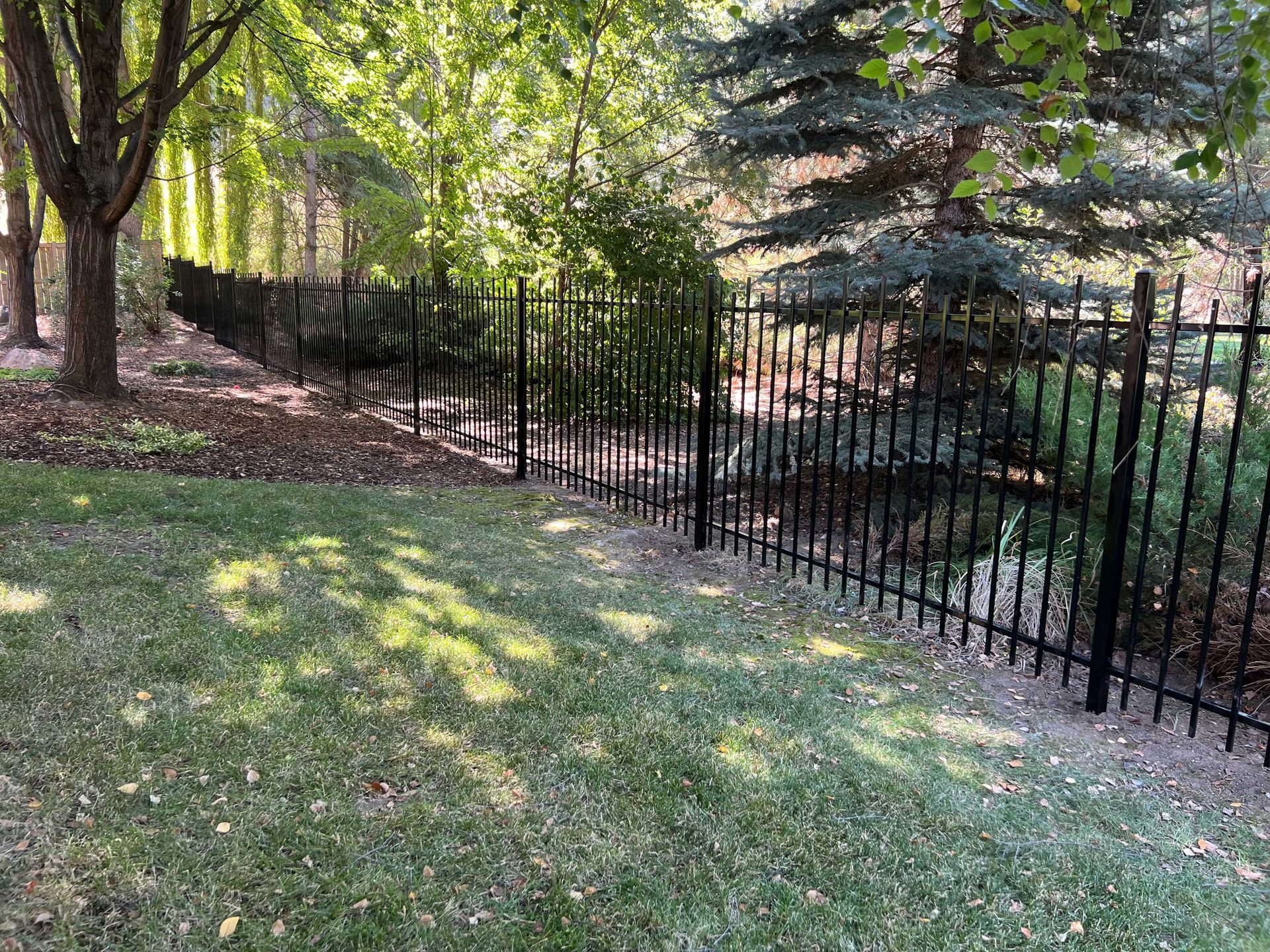 Black metal fence bordering a yard and trees. Green grass and shadows in the foreground.