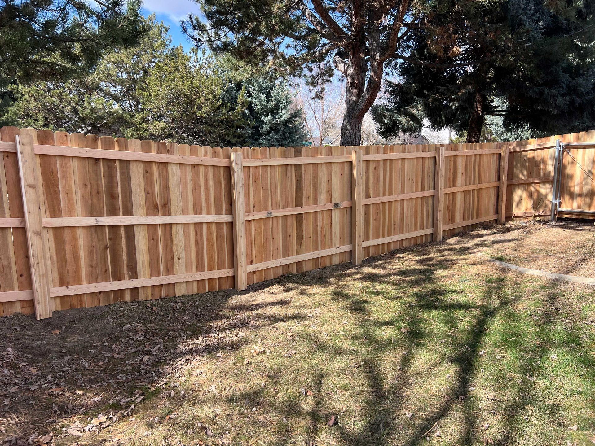 Wooden fence in a backyard, brown with vertical planks and horizontal supports.