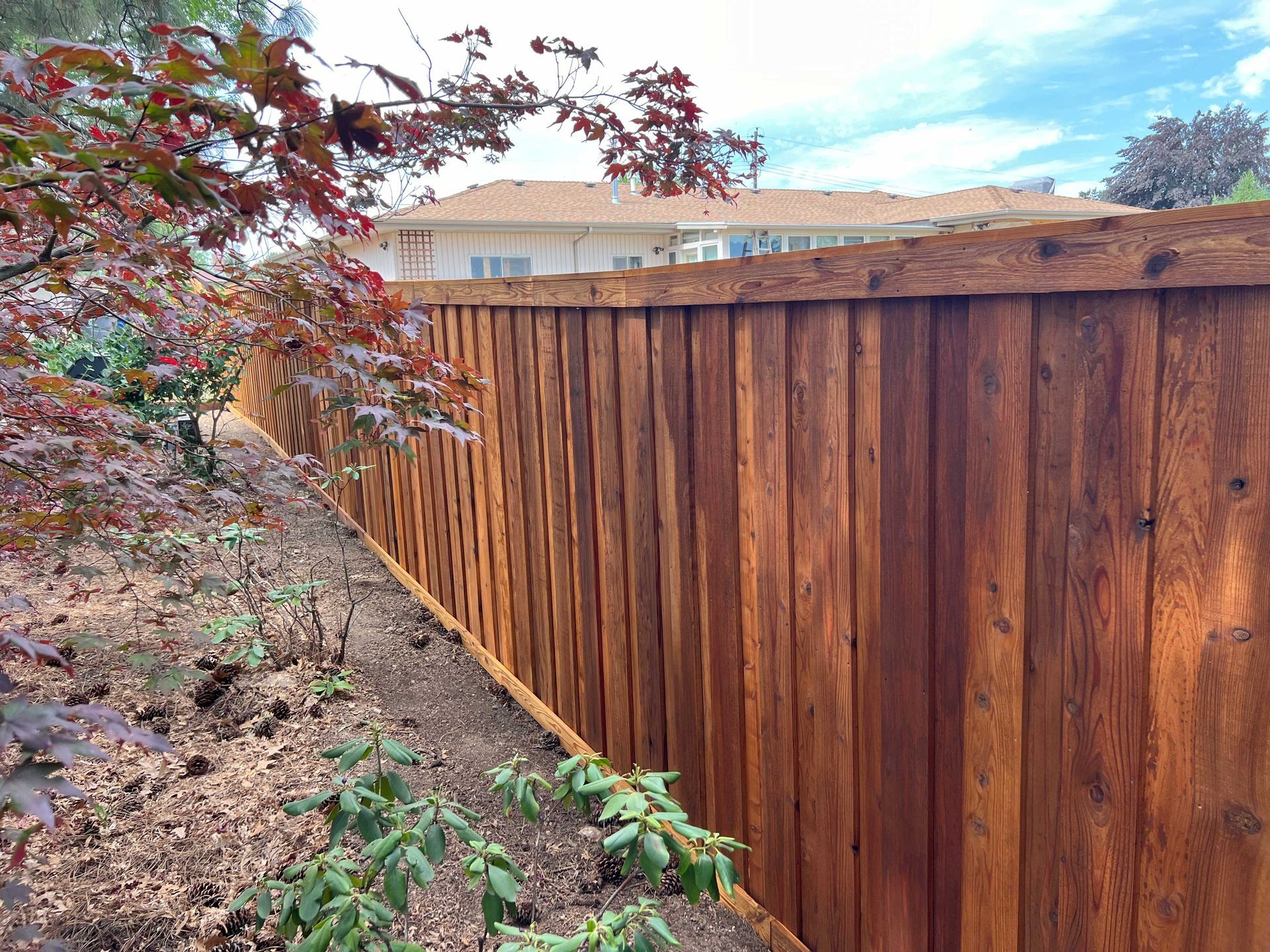 Brown wooden fence bordering a garden with red and green plants, a house in the background.