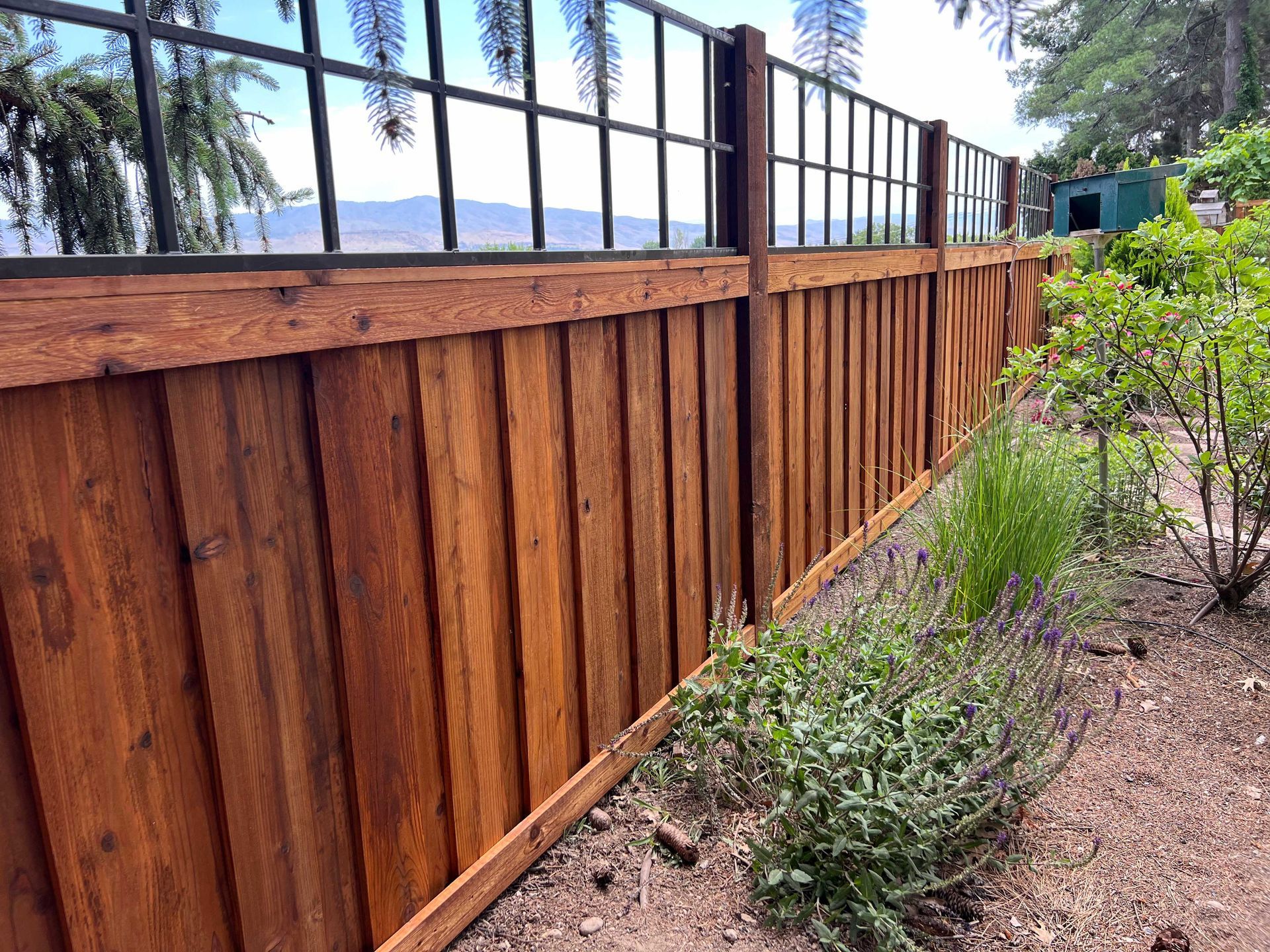 Wooden fence with dark vertical planks, topped with a metal railing. Plants grow along the base.