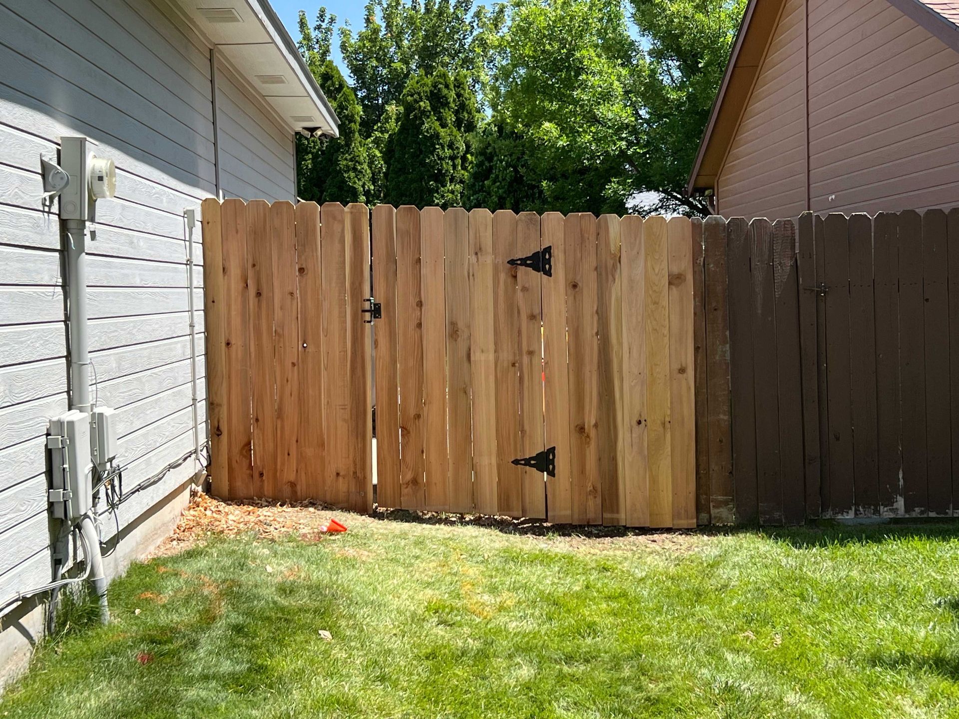 Wooden fence gate in a backyard, flanked by two fences and a building. Green grass in foreground.