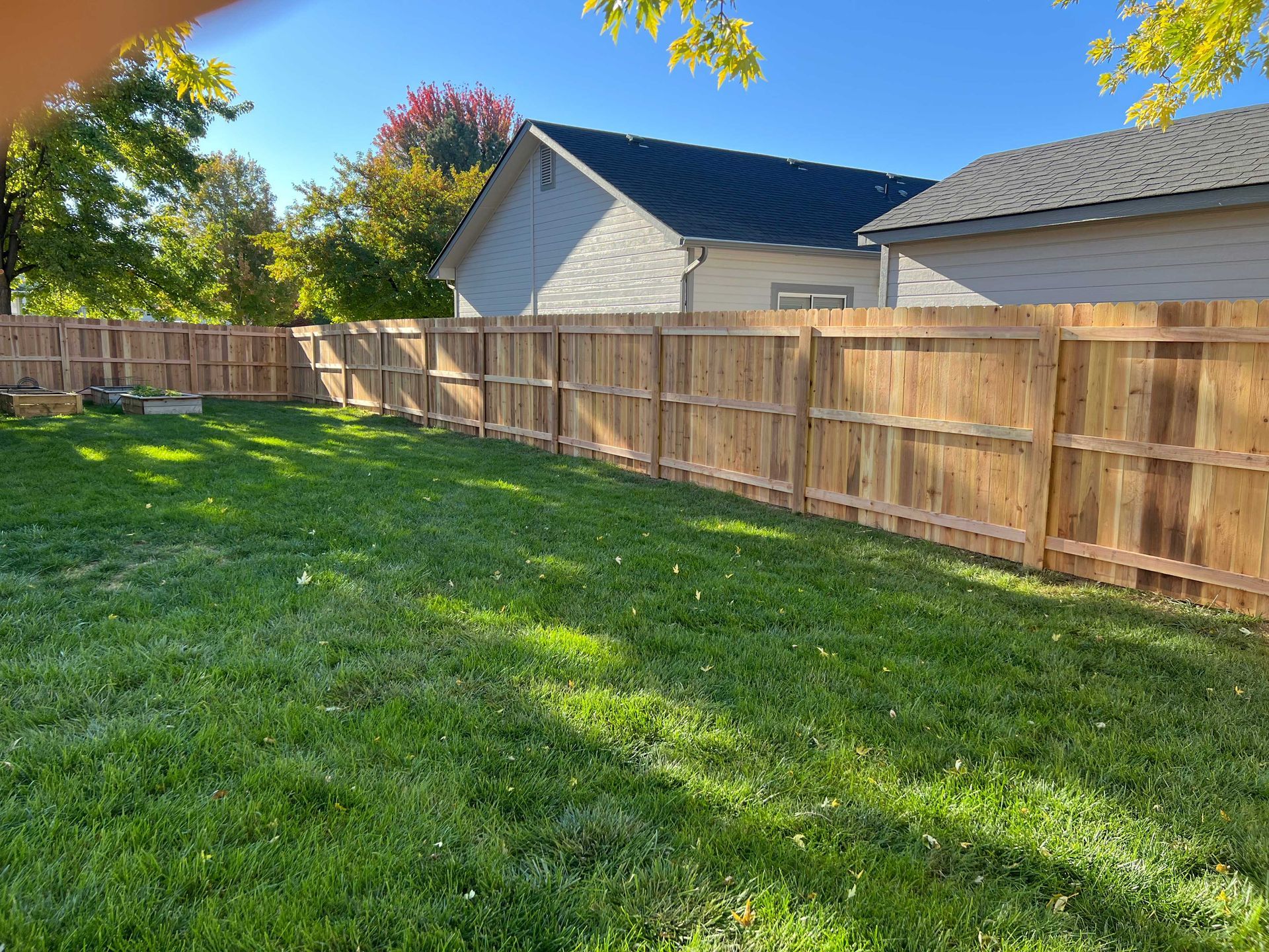 Lush green backyard with a new wooden fence; a house in the background. Sunny day.