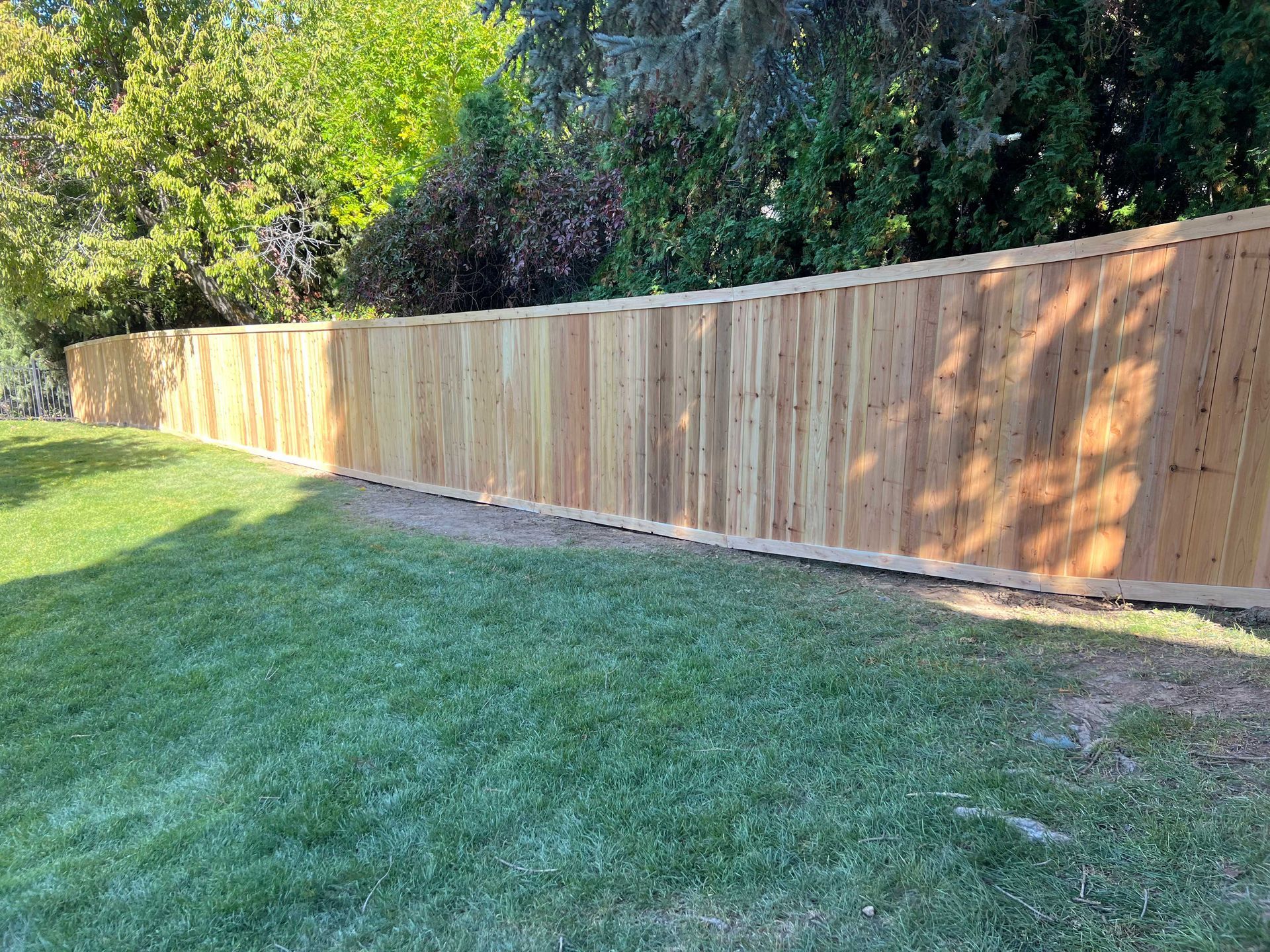 Wooden fence in a grassy yard, sunlight casts shadows. Green trees in background.