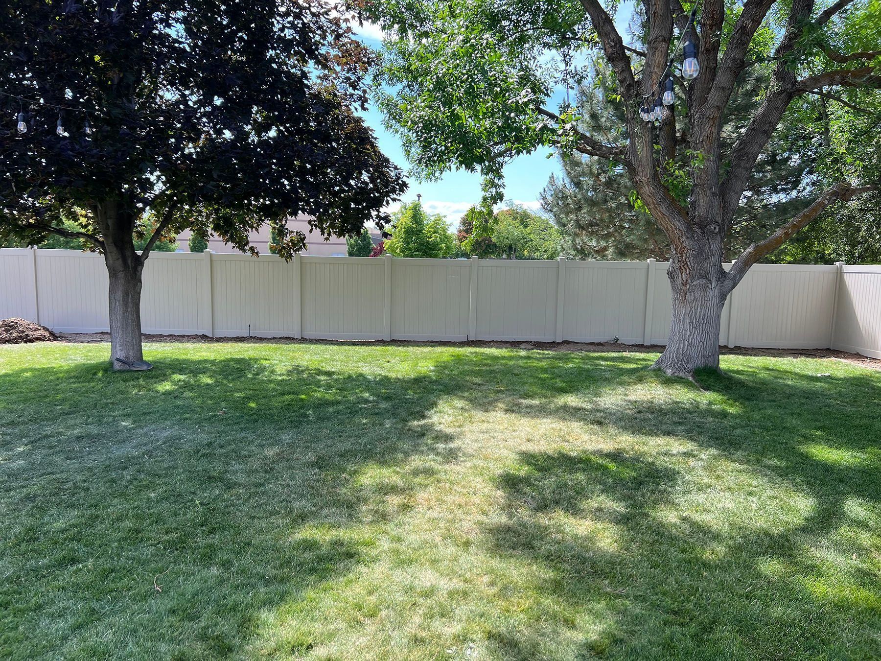 Green lawn with two trees casting shadows, beige fence in background under blue sky.