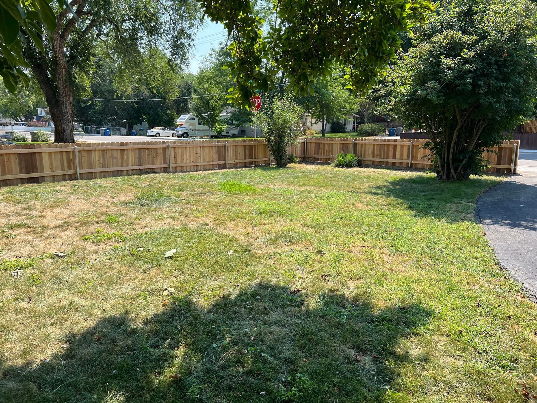 A fenced backyard with dry, patchy grass, trees, and a sunny sky.